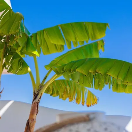 شقة Blue Paradise *